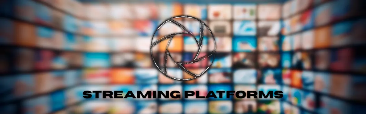 The 10 Best Live Streaming Platforms for Adults: Analysis & Comparison